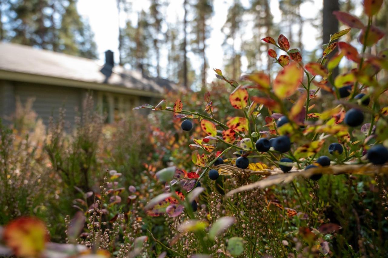 Saimaan Kultaranta Villa Puumala Exterior photo